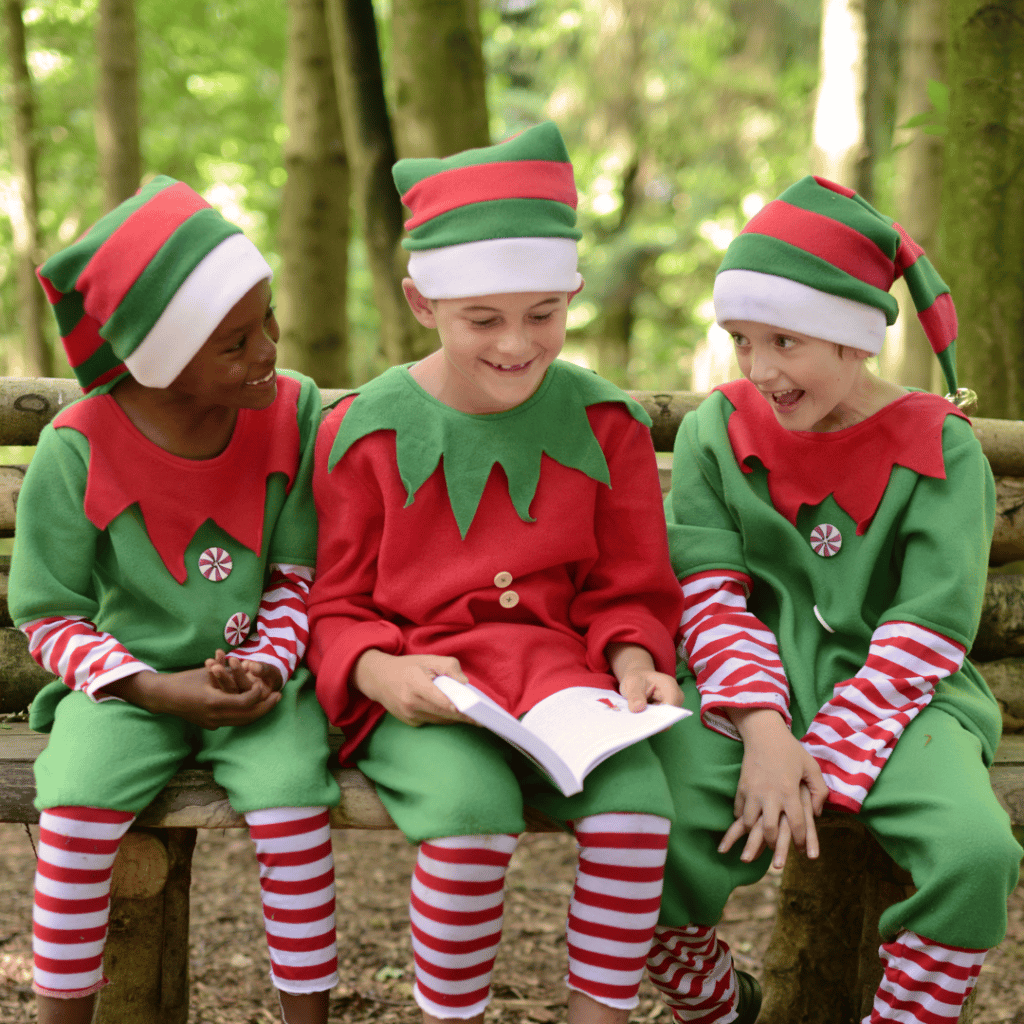 3 Young Elves Reading A Book