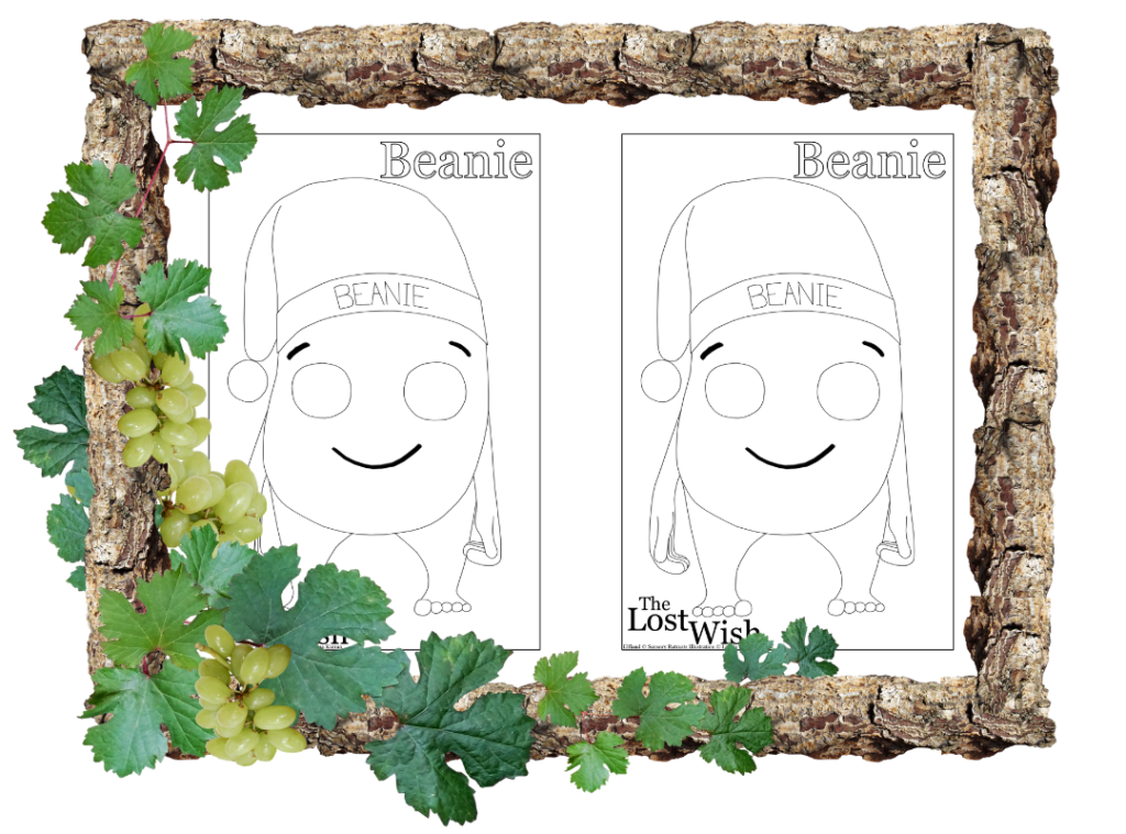 The Lost Wish Beanie Colouring In Download